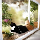 Лежанка для кошек окно window mounted cat bed(24)